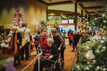 Festival of Trees Senior Day